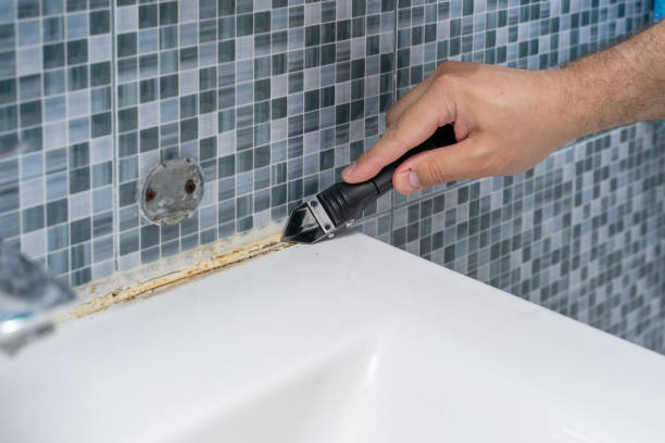 Best Local Mold Removal Service  in Potosi, TX