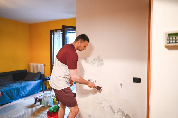 Best Commercial Mold Removal  in Potosi, TX
